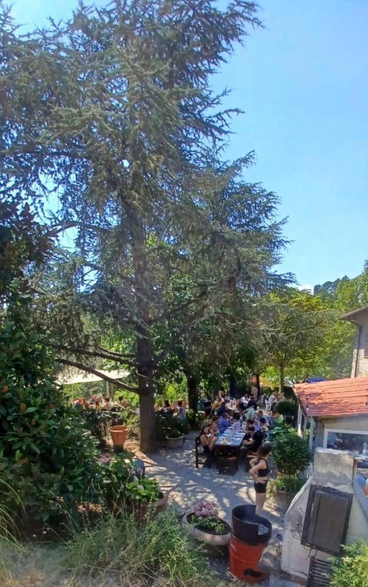 Ala Di Maniero In Agriturismo Valdrago In Toscana, Nel Verde Mugello Sulle Colline Di Firenze Borgo San Lorenzo Exteriör bild