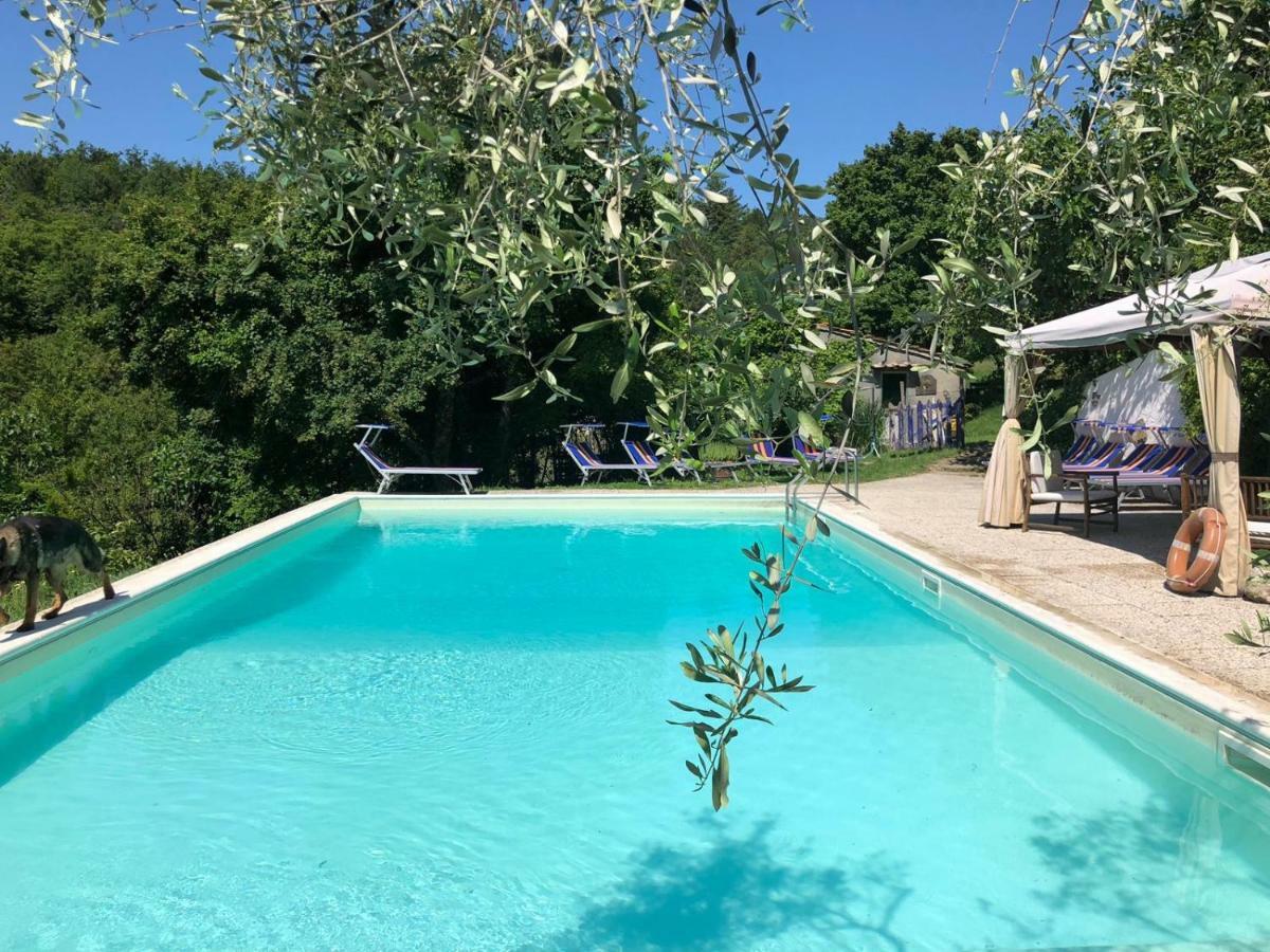 Ala Di Maniero In Agriturismo Valdrago In Toscana, Nel Verde Mugello Sulle Colline Di Firenze Borgo San Lorenzo Exteriör bild